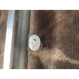 Aerosmith Fastening  GT200ICBB InsulPin with Washer for Rigid Insulation to Concrete,  2" Length, 60 mm Head,  White, 950/Box